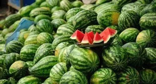 吃瓜网免费官网